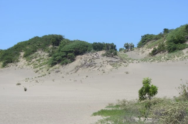Sand Dunes de Bani Province Peravia